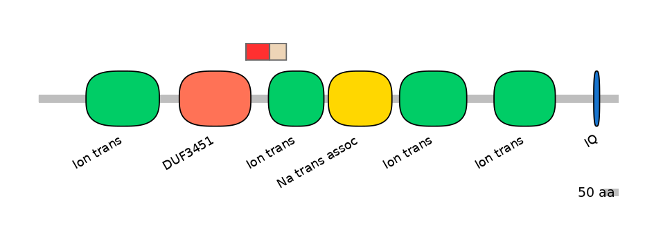 RnoEX6034134-INC