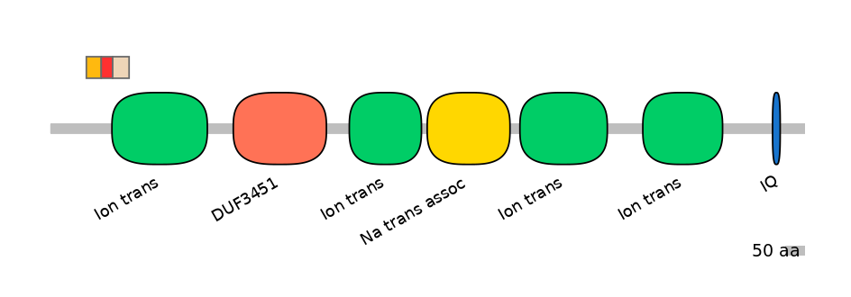 RnoEX6034140-INC