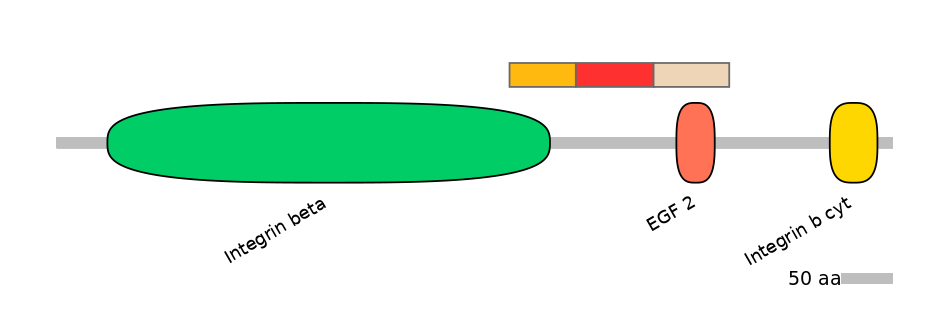 RnoEX6034303-INC