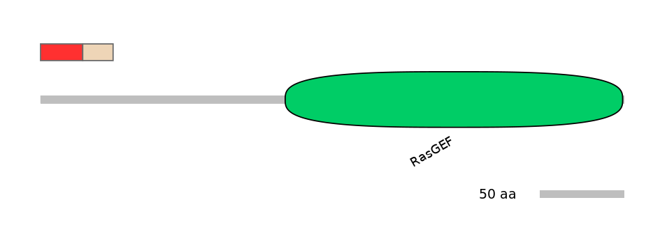 RnoEX6034942-INC