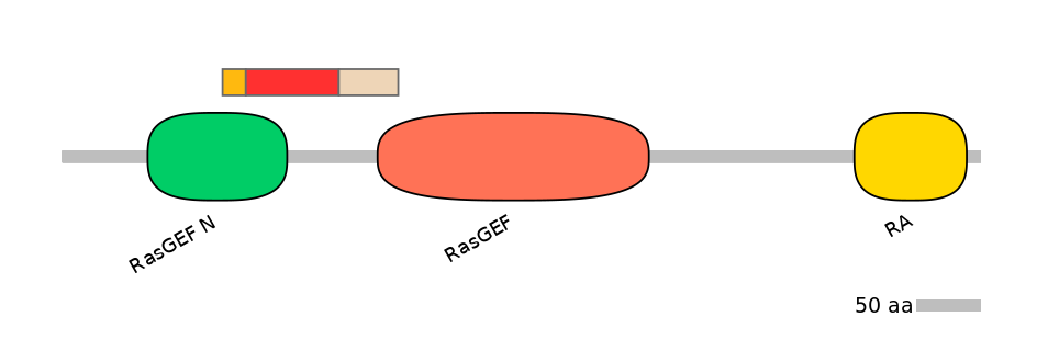 RnoEX6034944-INC