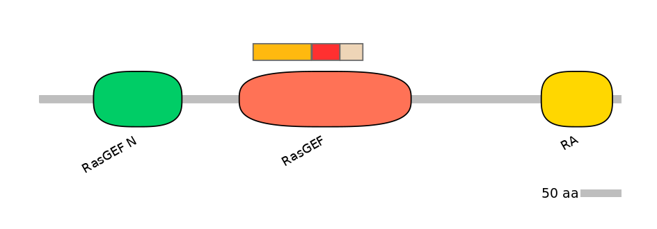 RnoEX6034946-INC