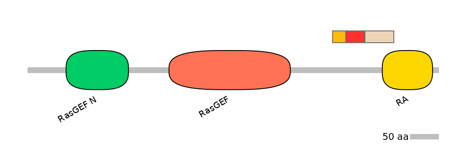RnoEX6034951-INC