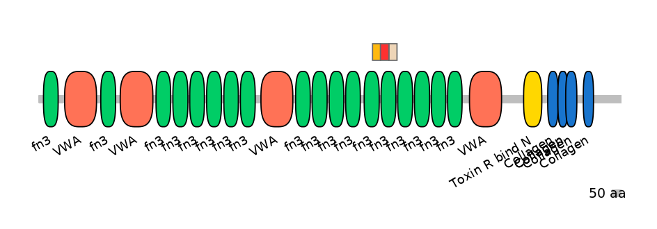 RnoEX6036664-INC