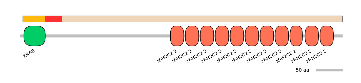 RnoEX6036848-INC