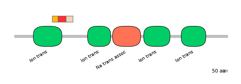 RnoEX6038233-INC