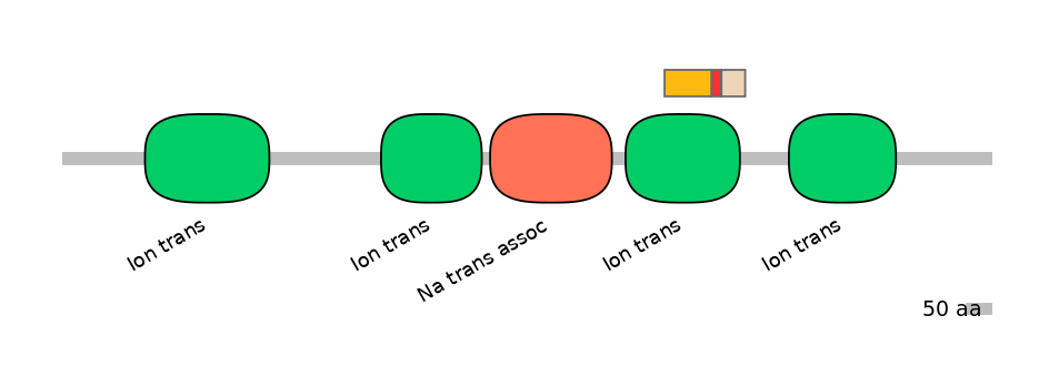 RnoEX6038243-INC