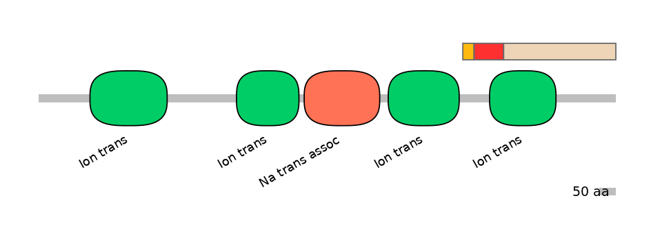 RnoEX6038246-INC