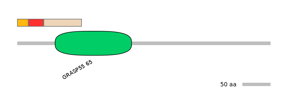 RnoEX6038255-INC