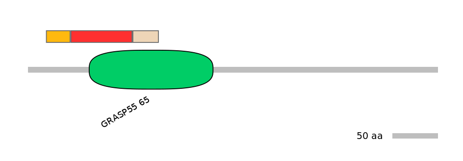 RnoEX6038256-INC