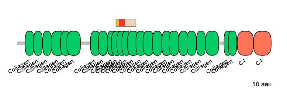 RnoEX6040605-INC