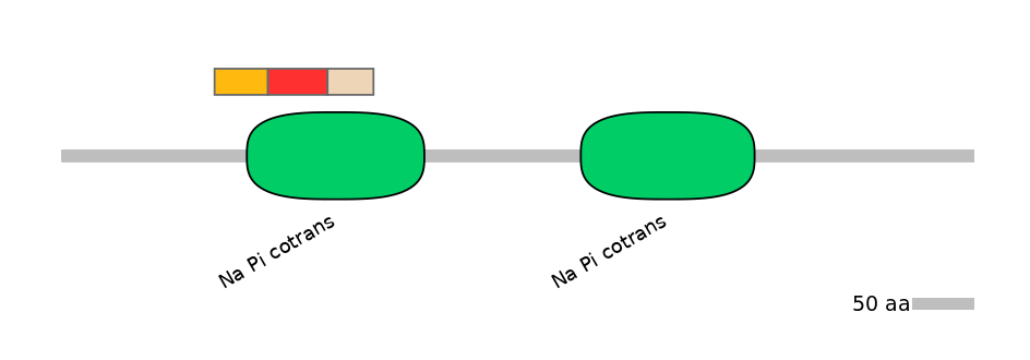 RnoEX6042533-INC