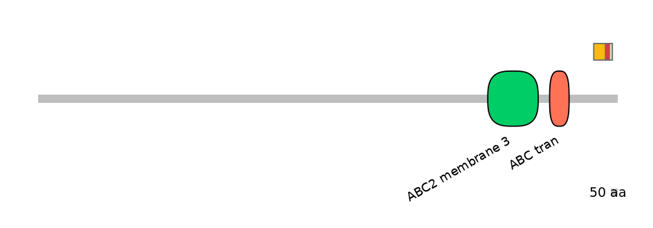 RnoEX6043334-INC
