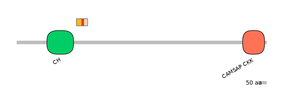 RnoEX6044397-INC