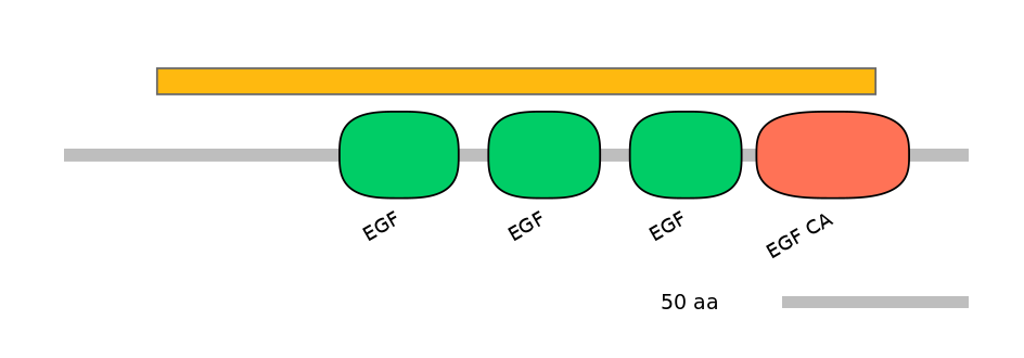 RnoEX6044462-EXC