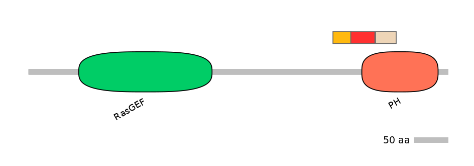 RnoEX6044897-INC