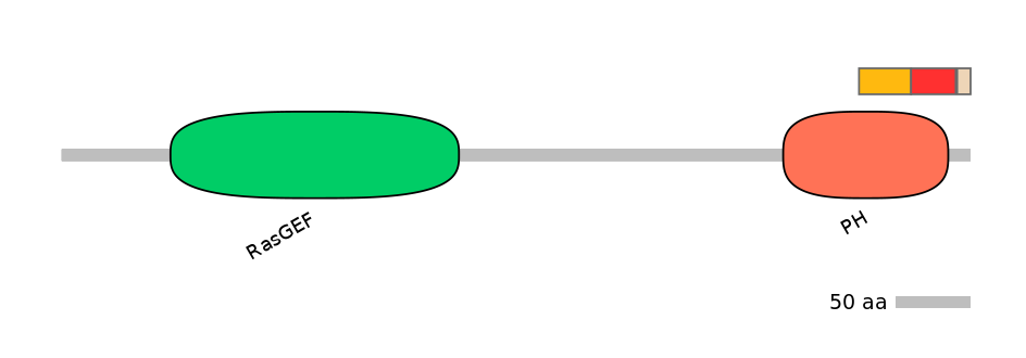 RnoEX6044899-INC