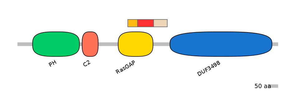 RnoEX6044908-INC