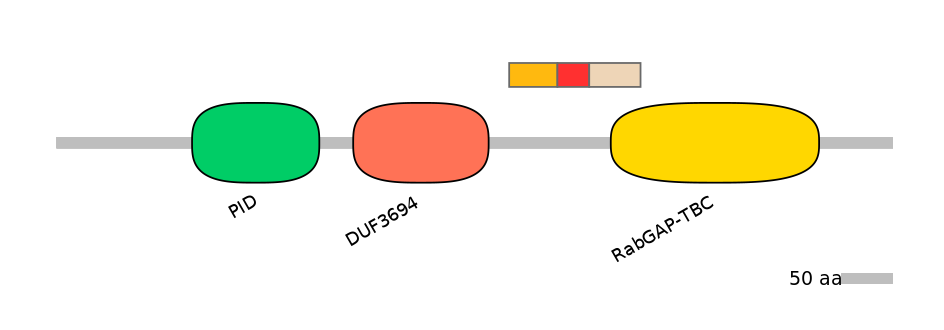 RnoEX6044986-INC