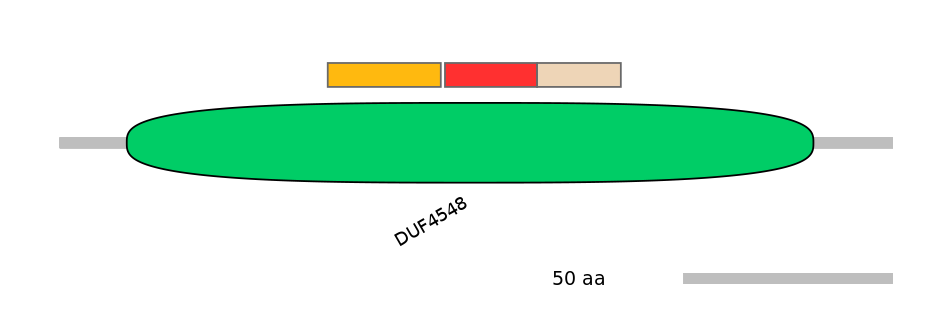 RnoEX6045049-INC