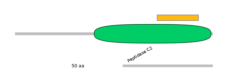 RnoEX6045719-EXC
