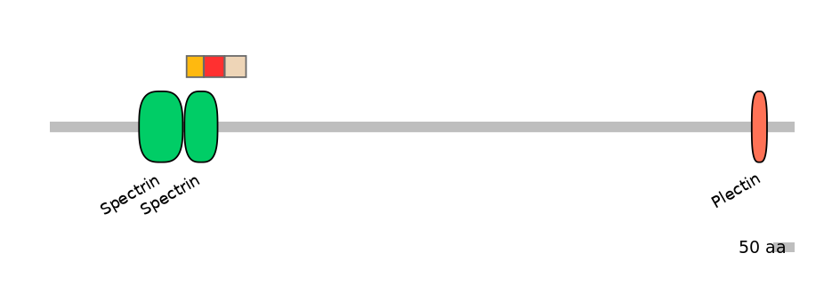 RnoEX6046167-INC