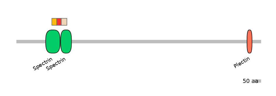 RnoEX6046168-INC