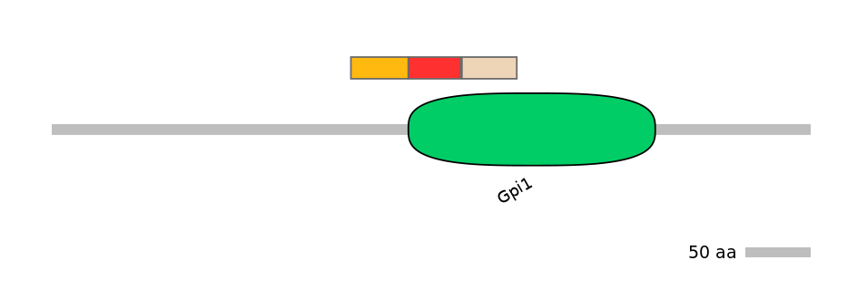RnoEX6046738-INC