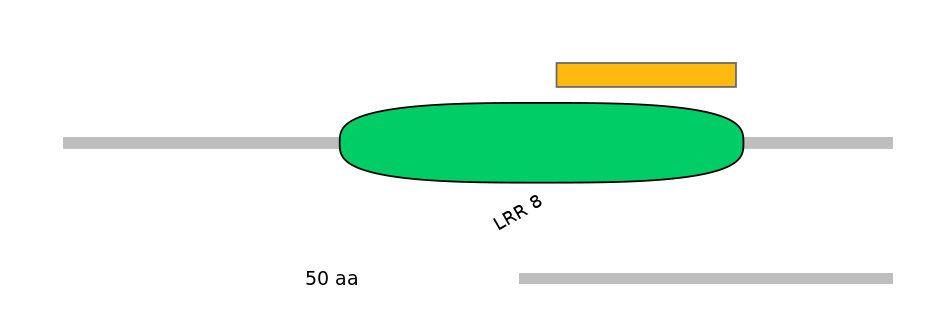 RnoEX6046879-EXC