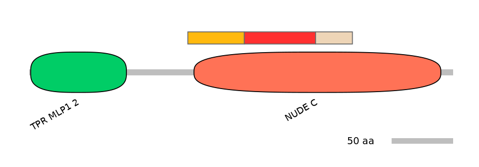 RnoEX6047855-INC