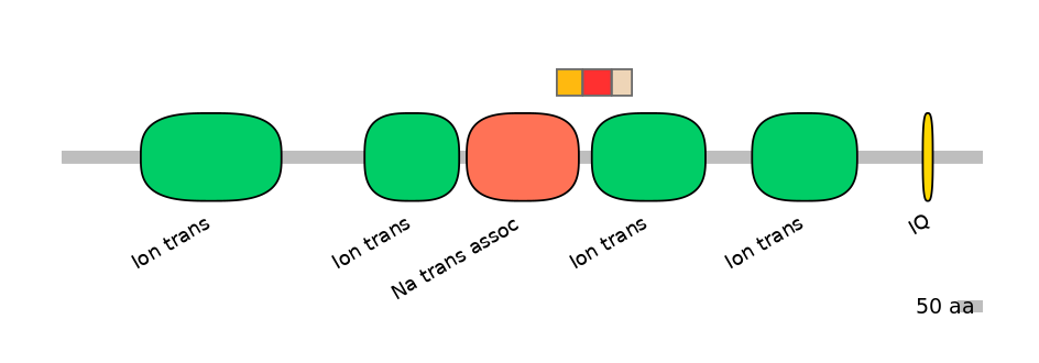 RnoEX6050163-INC