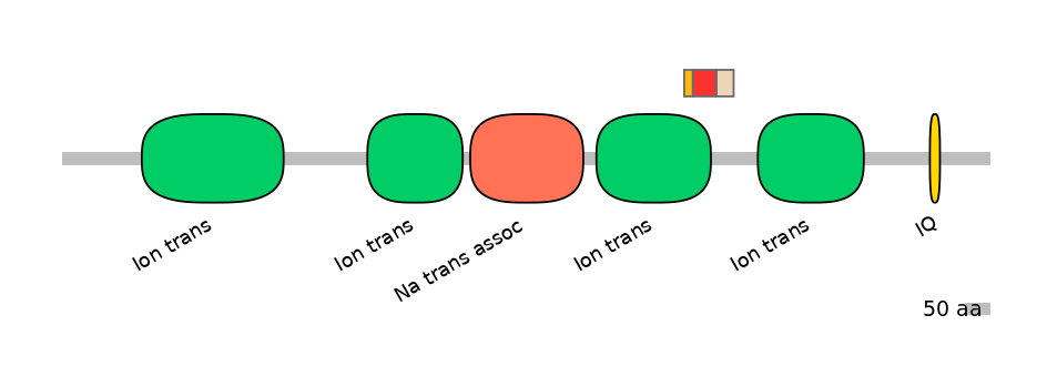 RnoEX6050166-INC