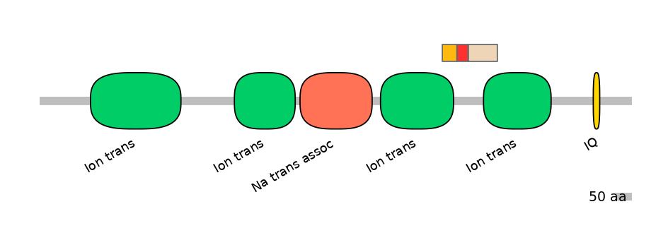RnoEX6050167-INC