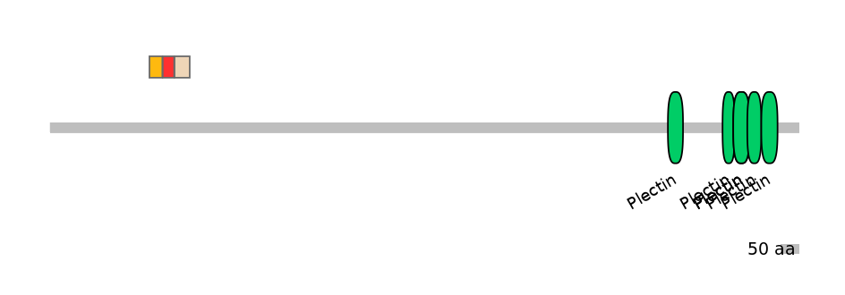 RnoEX6050664-INC
