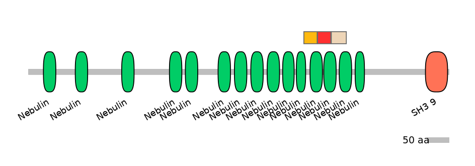 RnoEX6054301-INC