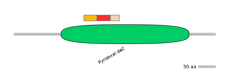 RnoEX6054392-INC