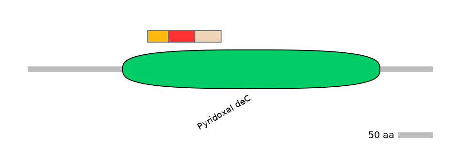 RnoEX6054393-INC