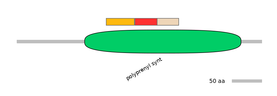 RnoEX6054398-INC