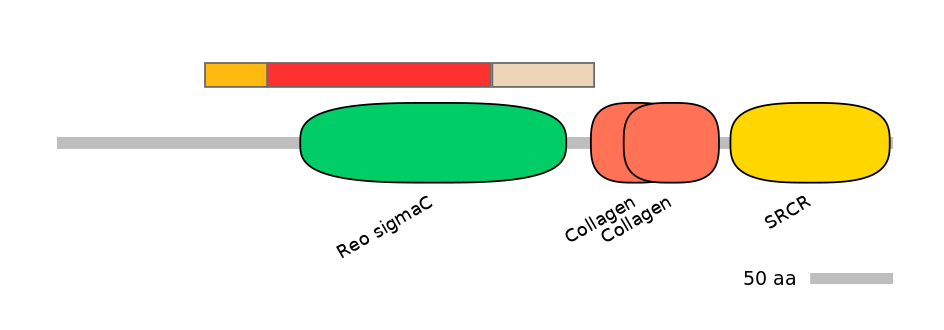 RnoEX6055684-INC