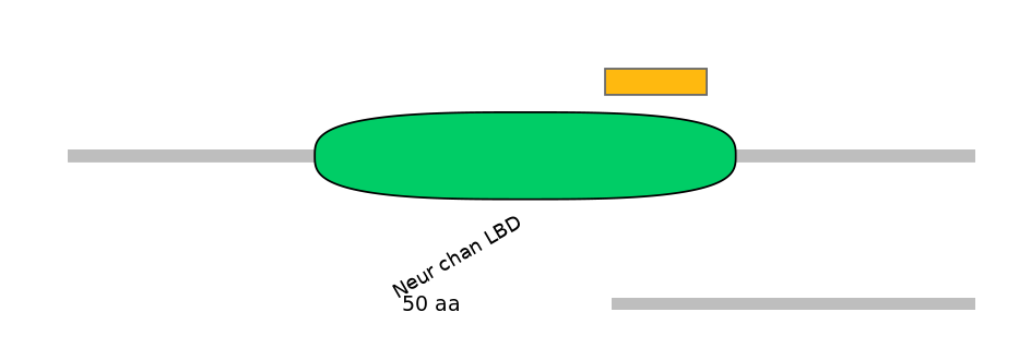 RnoEX6055786-EXC