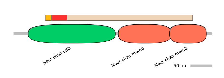 RnoEX6055786-INC