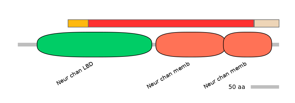 RnoEX6055787-INC