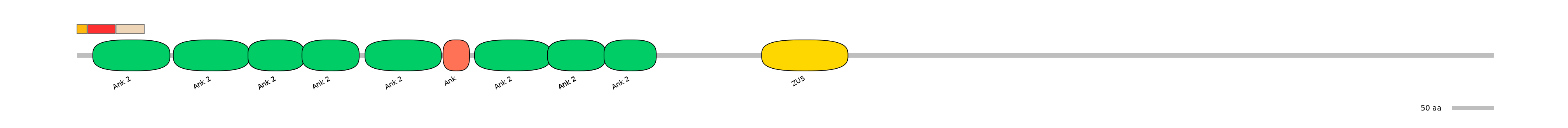 RnoEX6055930-INC
