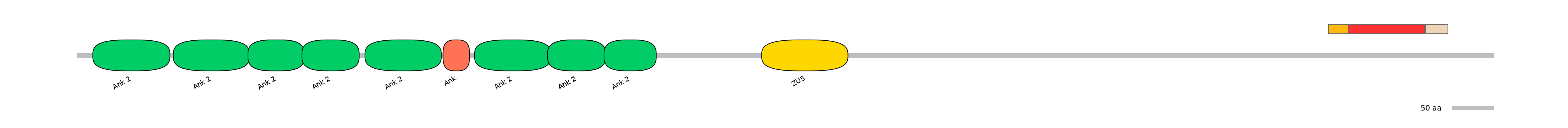 RnoEX6055951-INC