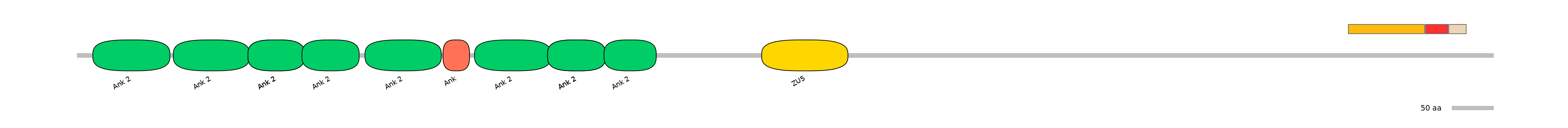 RnoEX6055952-INC