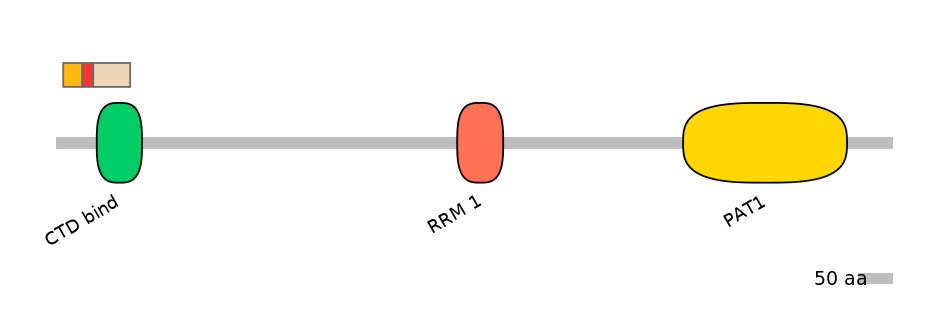 RnoEX6056495-INC
