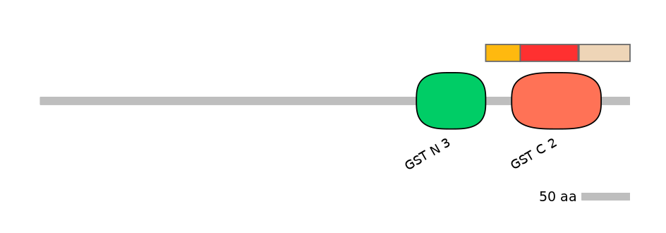 RnoEX6056595-INC