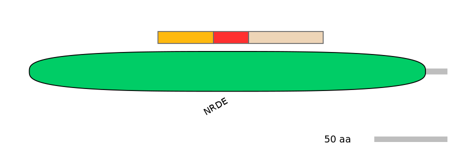 RnoEX6057783-INC