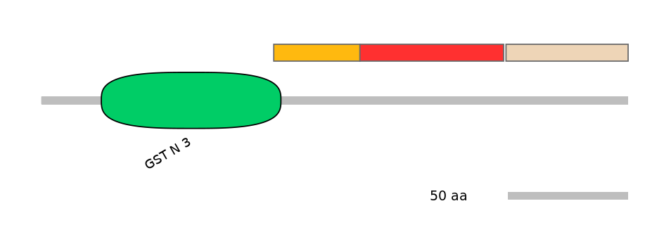 RnoEX6061305-INC