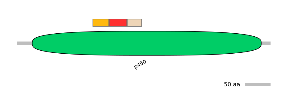 RnoEX6061589-INC